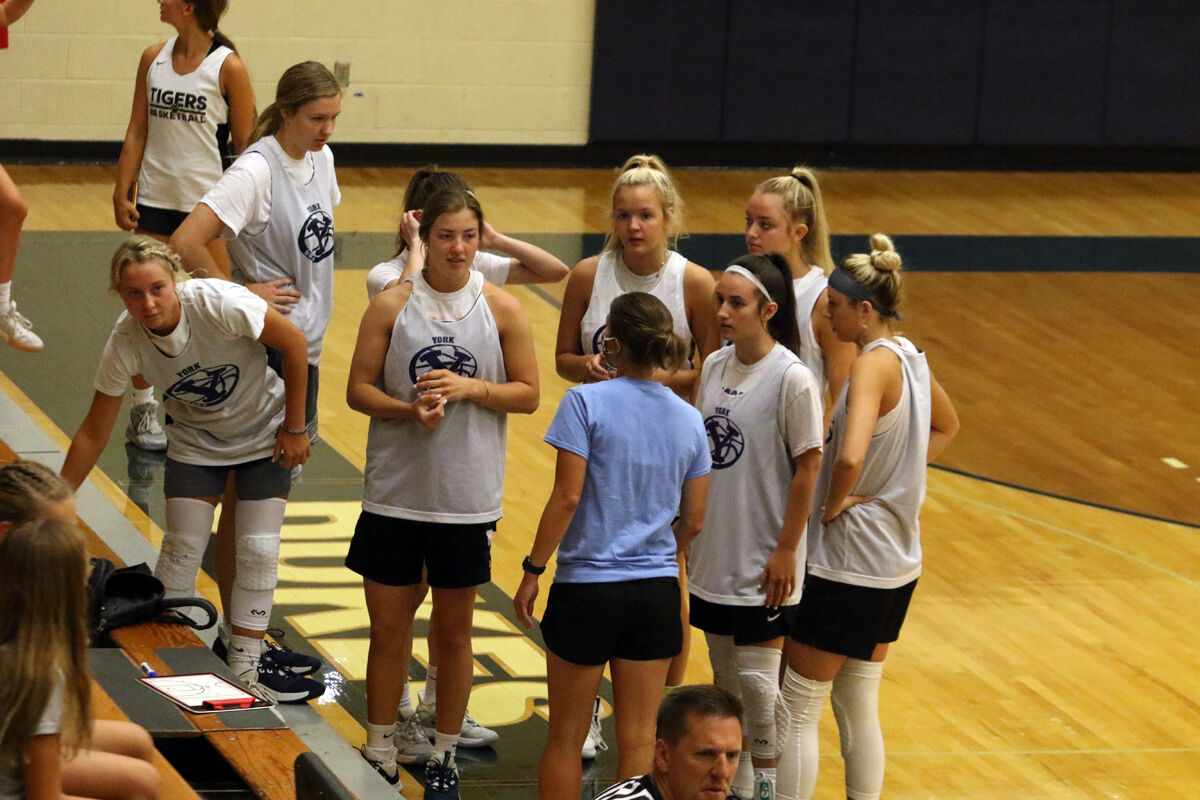 York Girls Basketball Camp (1).jpg